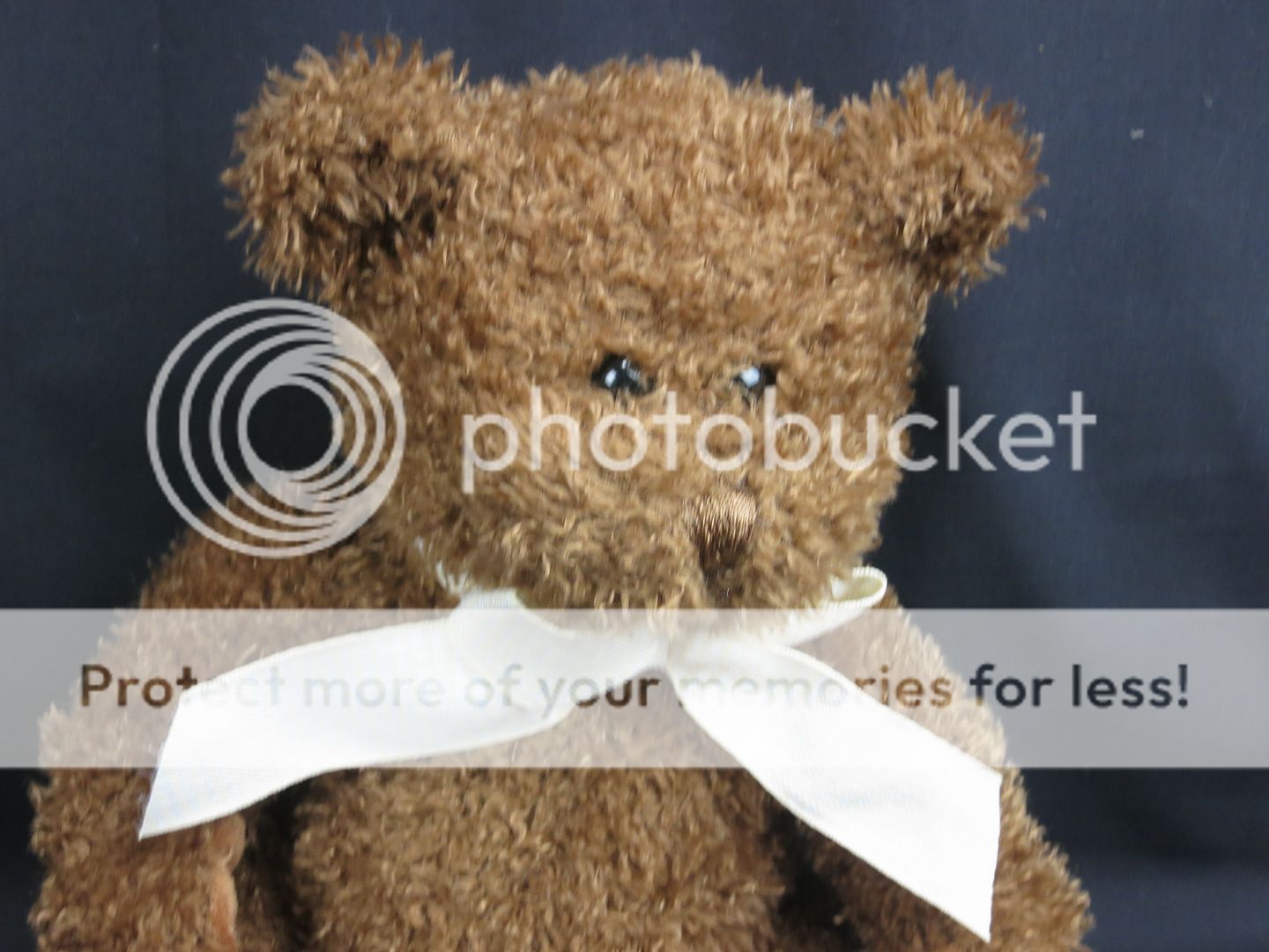 circo stuffed bear